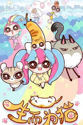 网站页面优化有哪些内容